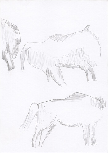 019 &ndash; Unbekannter KünstlerBisonca. 15000 v. Chr. &ndash; 10000 v. Chr.  &ndash; Höhlenmalerei Altamira
